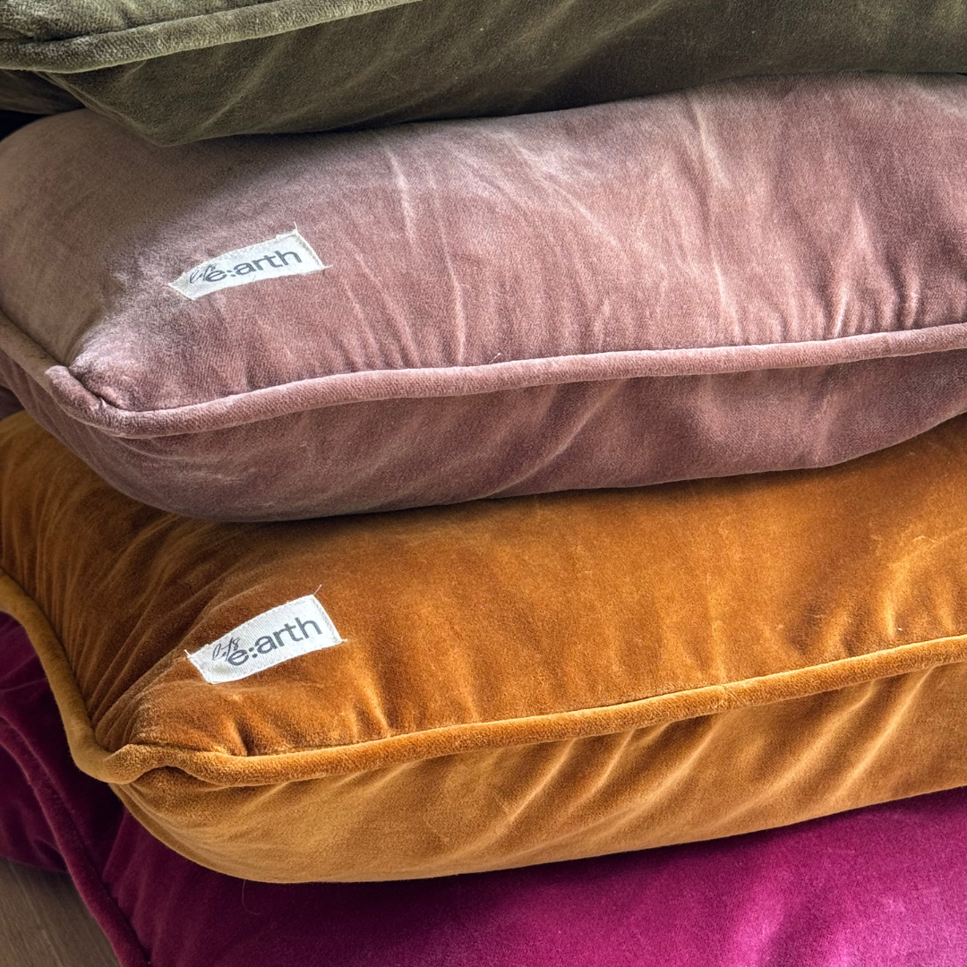 Velvet Cushion Cover - Cord Piped Edge